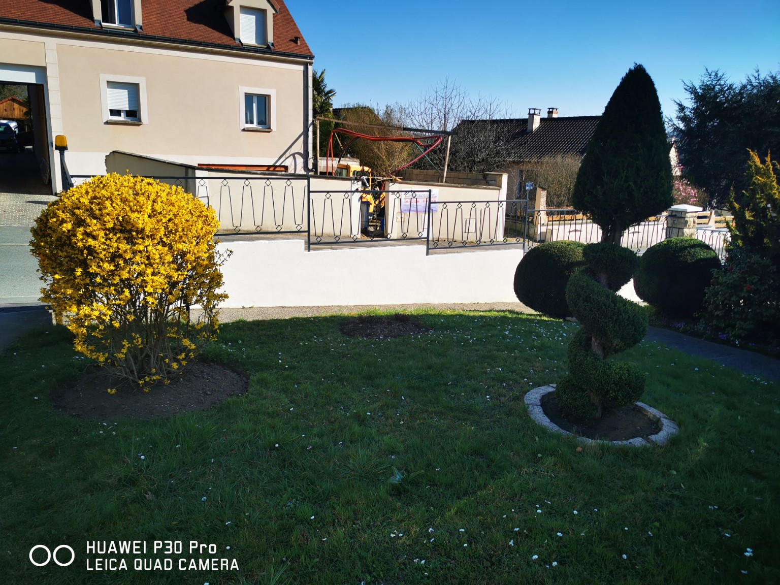 Jardin entretenu avec topiaire
